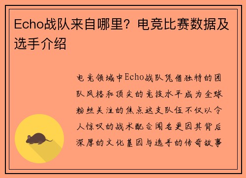 Echo战队来自哪里？电竞比赛数据及选手介绍